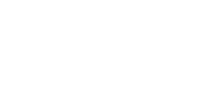 JAV Servicios Comerciales Ltda.
